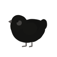 (unnamed), a black chicken with a head pattern