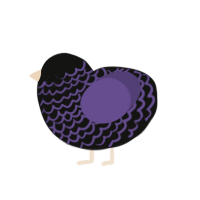 Deirdre, a black and overcast chicken with a lace pattern