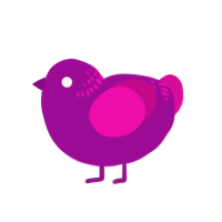 bright plum, a plum and fuchsia chicken with a neck-band pattern