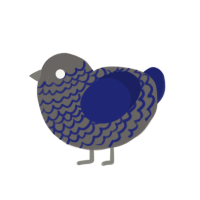 2time, a grey and navy chicken with a lace pattern