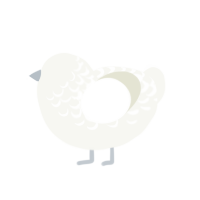 Spirit, a white chicken with a half-lace pattern