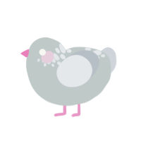 Nimbostratus, a silver and mist chicken with a neck-speckle pattern