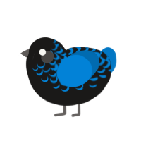 Trauma, a sable and sapphire chicken with a half-lace pattern