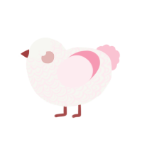 Palindrose, a white and rose chicken with a double-lace pattern