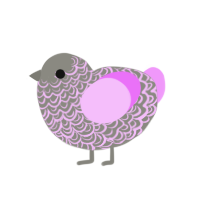 HEA, a ash and lavender chicken with a double-lace pattern