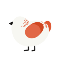 (unnamed), a white and vermilion chicken with a neck-band pattern