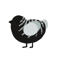 (unnamed), a sable and silver chicken with a half-bar pattern