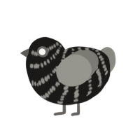 (unnamed), a sable and ash chicken with a bar pattern