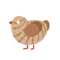 (unnamed), a beige and brown chicken with a bar pattern