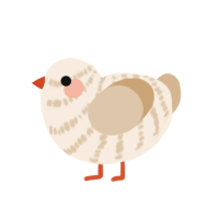 (unnamed), a cream and beige chicken with a bar pattern