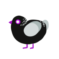 Ultra Rocky Road, a black and silver chicken with a neck-band pattern