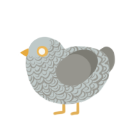 (unnamed), a silver and ash chicken with a double-lace pattern