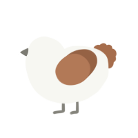 Smore, a white and brown chicken