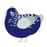 (unnamed), a navy and silver chicken with a half-lace pattern