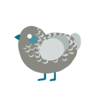 (unnamed), a ash and silver chicken with a half-lace pattern