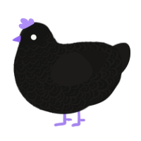 Crow, a black and sable chicken with a double-lace pattern