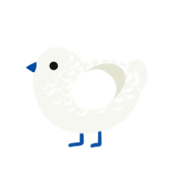 icecube, a white chicken with a half-lace pattern