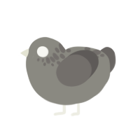 (unnamed), a ash and grey chicken with a neck-speckle pattern