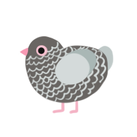 (unnamed), a grey and silver chicken with a lace pattern