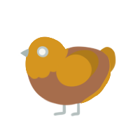 (unnamed), a brown and ochre chicken with a head pattern