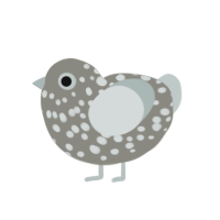 (unnamed), a ash and silver chicken with a speckle pattern