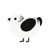 (unnamed), a white and black chicken with a neck-band pattern