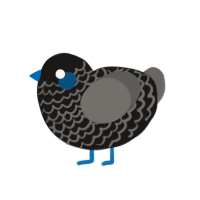 Gin, a sable and grey chicken with a lace pattern