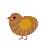 (unnamed), a brown and ochre chicken with a bar pattern