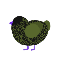 (unnamed), a black and olive chicken with a double-lace pattern