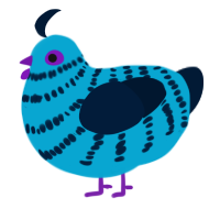 Gloria, a cerulean and tumblr chicken with a bar pattern