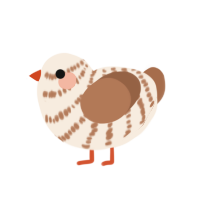 (unnamed), a cream and brown chicken with a bar pattern