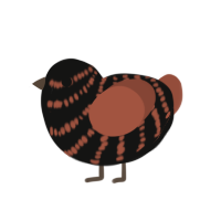 (unnamed), a black and russet chicken with a bar pattern