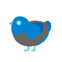 Cobalt Miku, a grey and sapphire chicken with a head pattern