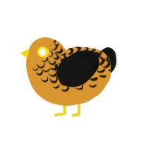 (unnamed), a orange and black chicken with a half-lace pattern