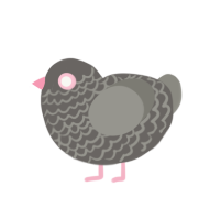 Pigeon7, a grey and ash chicken with a lace pattern