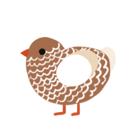 Chocolate orange, a brown and cream chicken with a lace pattern