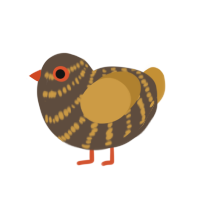 (unnamed), a bark and gold chicken with a bar pattern