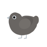 Stone, a grey chicken