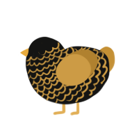 Midas, a black and gold chicken with a lace pattern