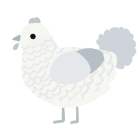 Fogerty, a white and mist chicken with a lace pattern