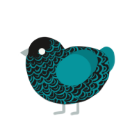 Icy, a white and aqua chicken with a double-lace pattern