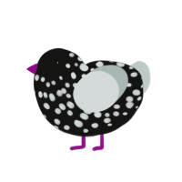 coal, a black and silver chicken with a speckle pattern