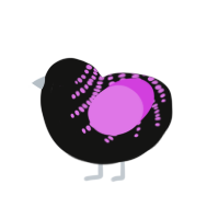 (unnamed), a black and orchid chicken with a half-bar pattern