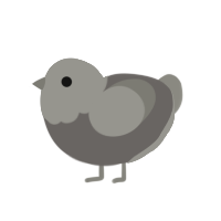 Andesite, a ash chicken with a head pattern