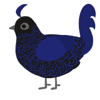 (unnamed), a sable and navy chicken with a double-lace pattern