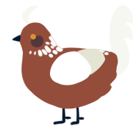 Gene, a russet and white chicken with a neck-speckle pattern