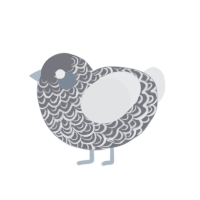 Seventy One, a ash and sable chicken with a double-lace pattern