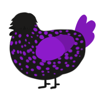 Big purple, a sable and violet chicken with a speckle pattern