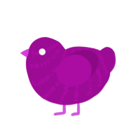 24 karat plum, a plum chicken with a bar pattern