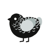 Noir Periastron P Jr, a black and silver chicken with a half-lace pattern